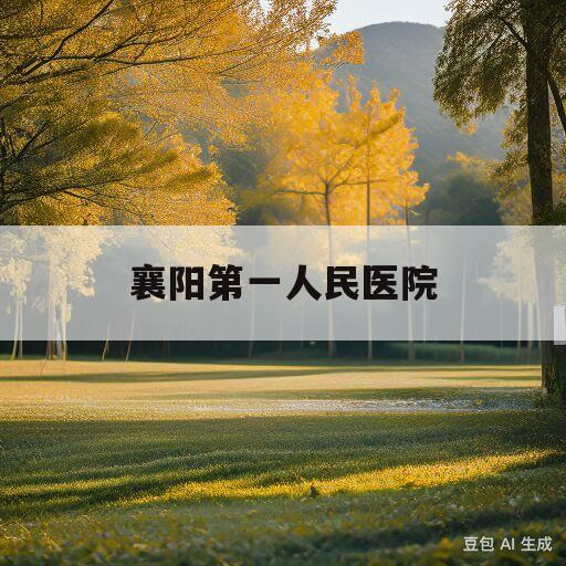 襄阳第一人民医院(襄阳第一人民医院招聘)