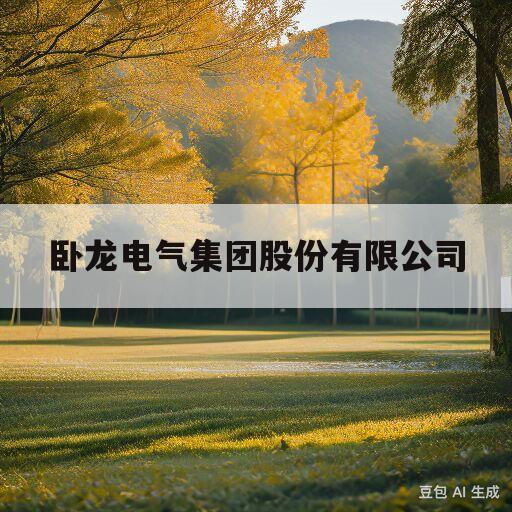 卧龙电气集团股份有限公司(卧龙电气集团股份有限公司董事长)