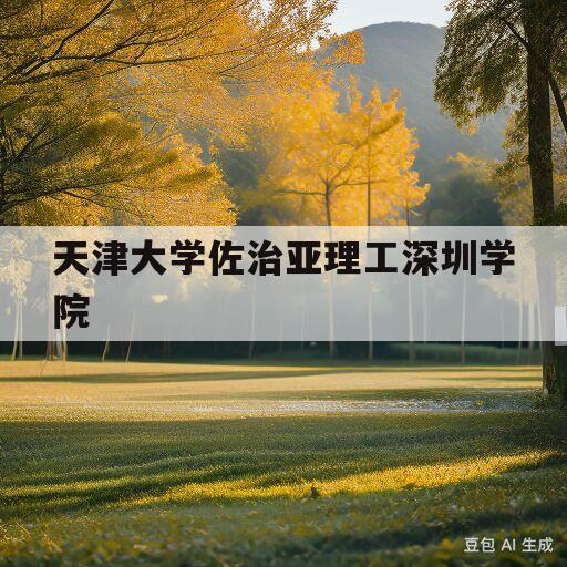 天津大学佐治亚理工深圳学院(天津佐治理工大学深圳校区怎么样)