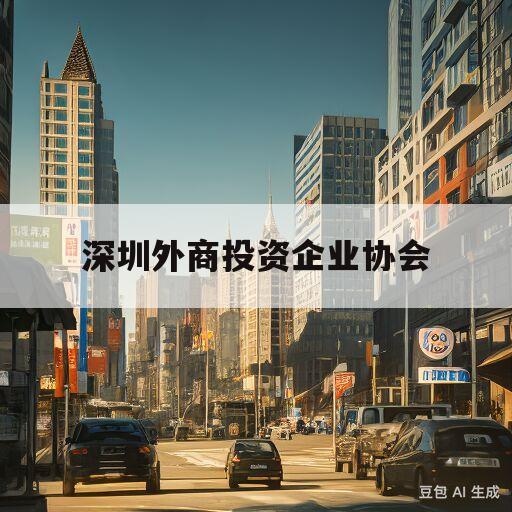 深圳外商投资企业协会(深圳外商投资企业协会丁风琴)